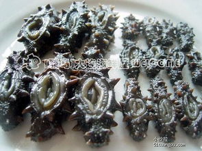 大連海鮮年貨，海參鮑魚帶來的年味與體面