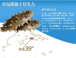 O2O引爆海參銷售 網絡營銷干貨全解析