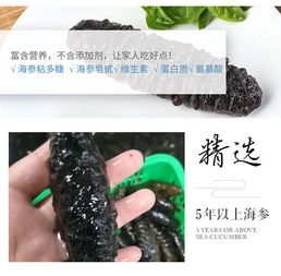 雪熊島進口精品滋補海參130頭組提貨券 深海珍饈，送禮自用兩相宜