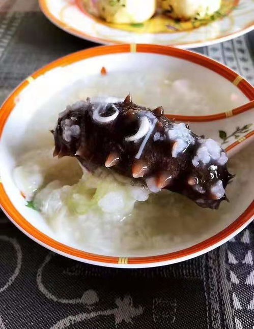 夏季高溫天氣在鄭州能吃海參嗎？海淀專家與當地食客的深度解析