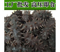 海參產品庫 營養瑰寶的深度探索與選擇指南