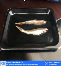 重慶海參貼體機 諸城廣盈機械公司打造專業海參保鮮解決方案