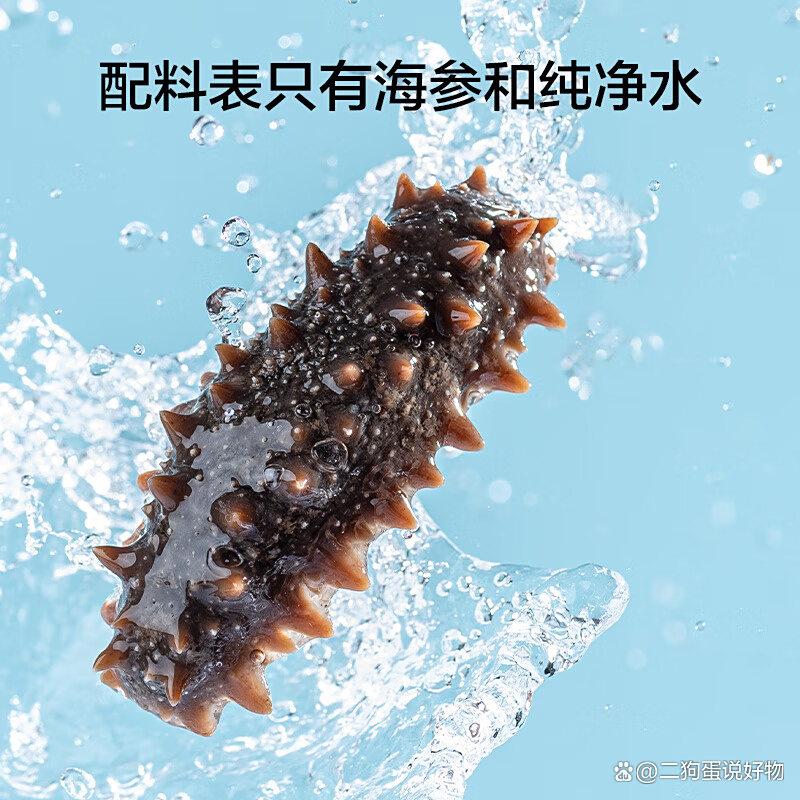 即食海參排名前十品牌揭曉這10款海參,品質卓越,營養滿分!